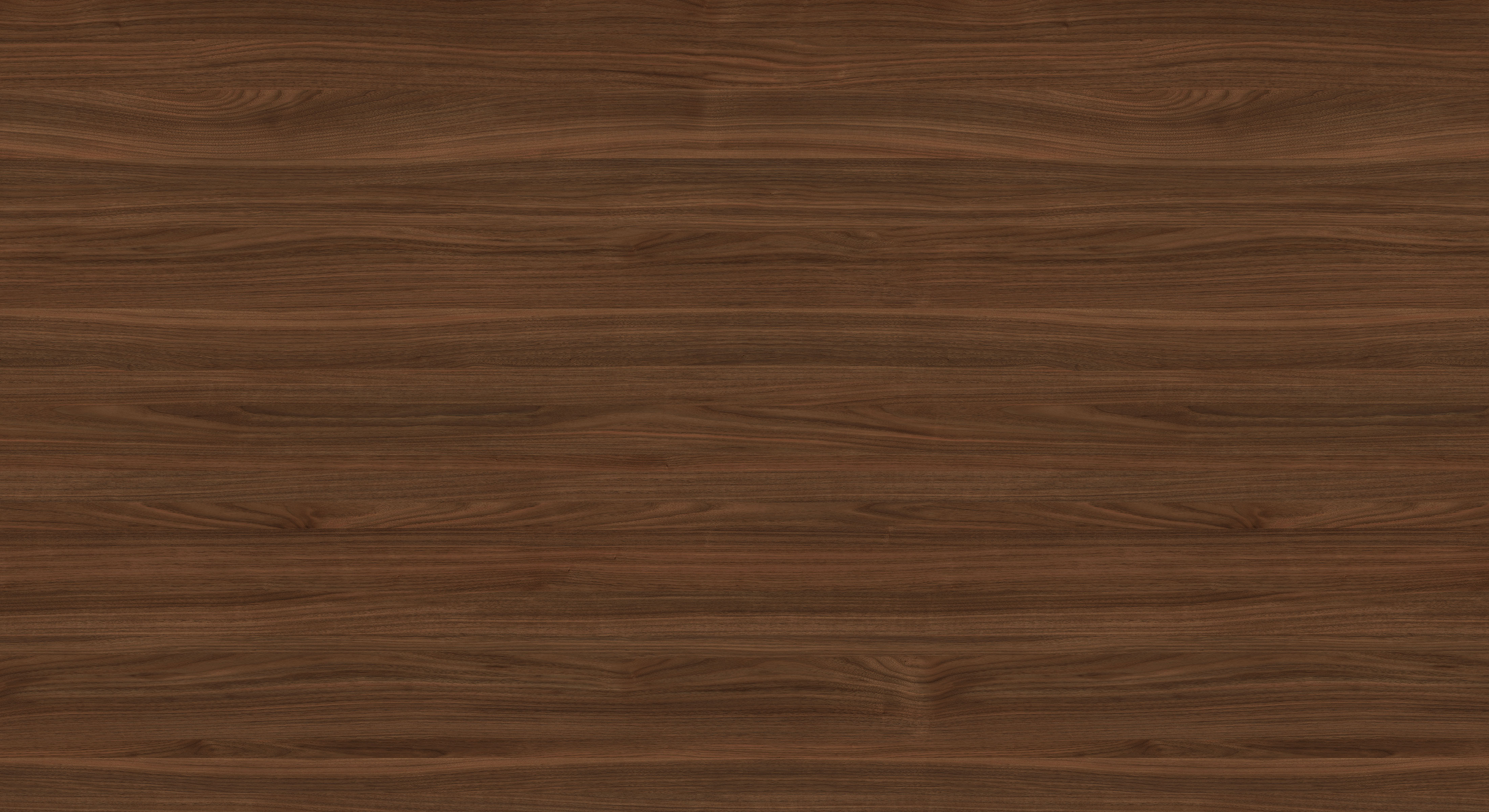 WS1006-2DK