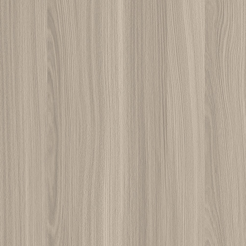 WS1005-1DK