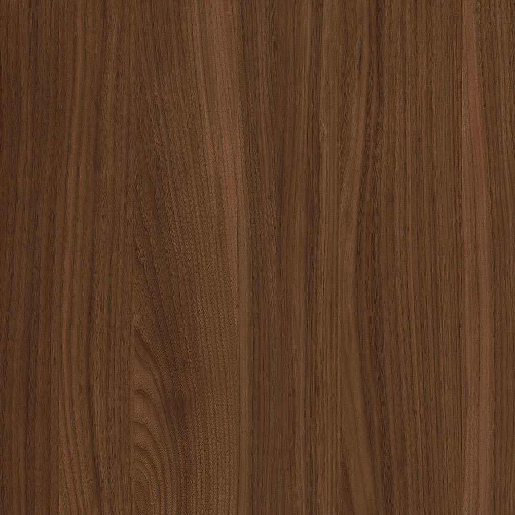 WS1006-2DK