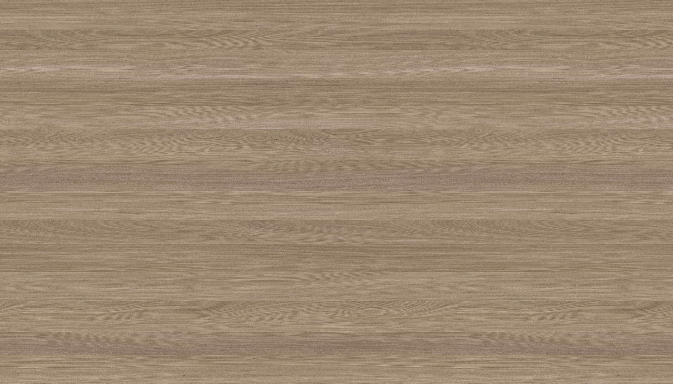 WS1005-2DK