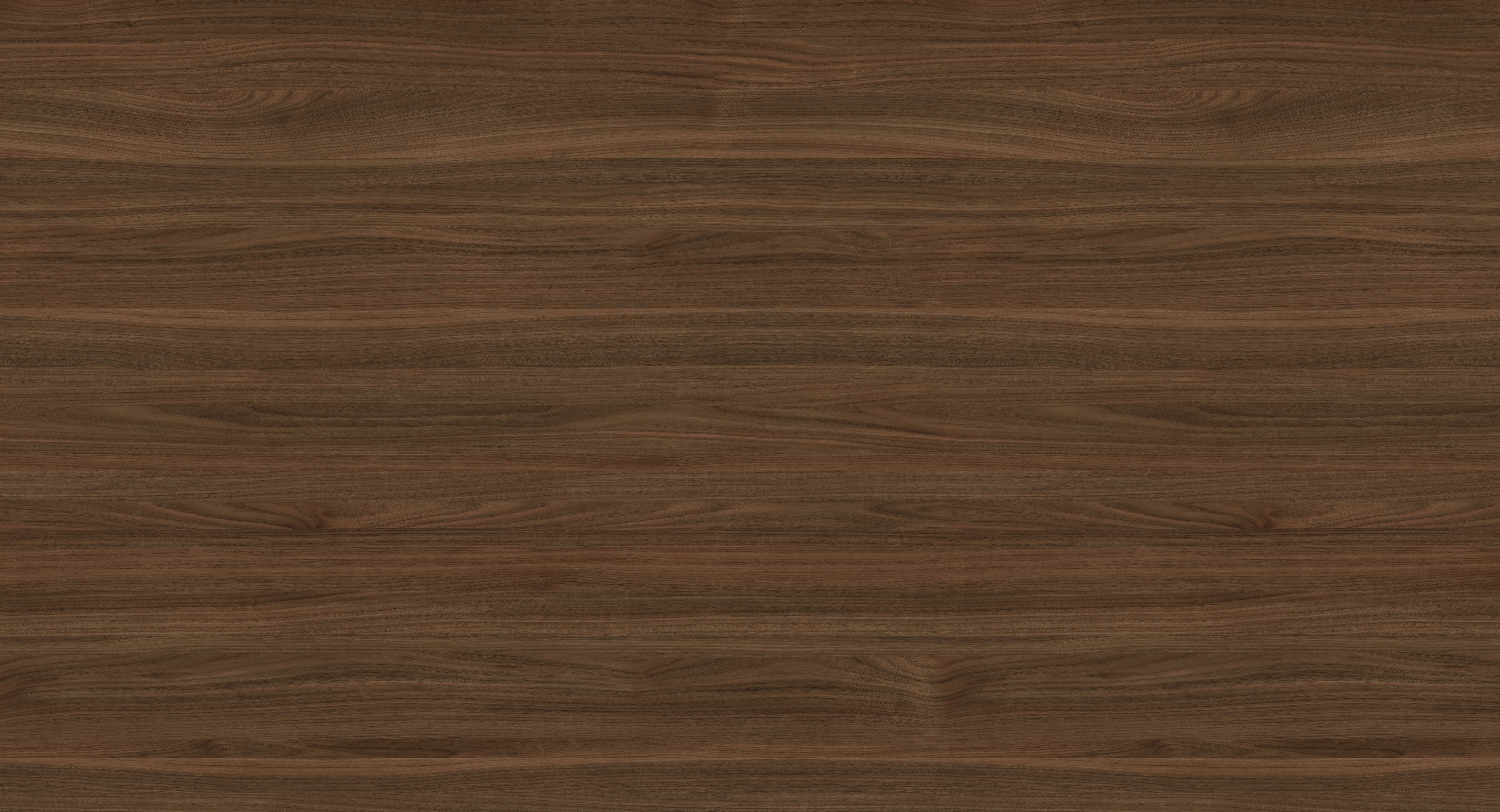 WS1006-1DK