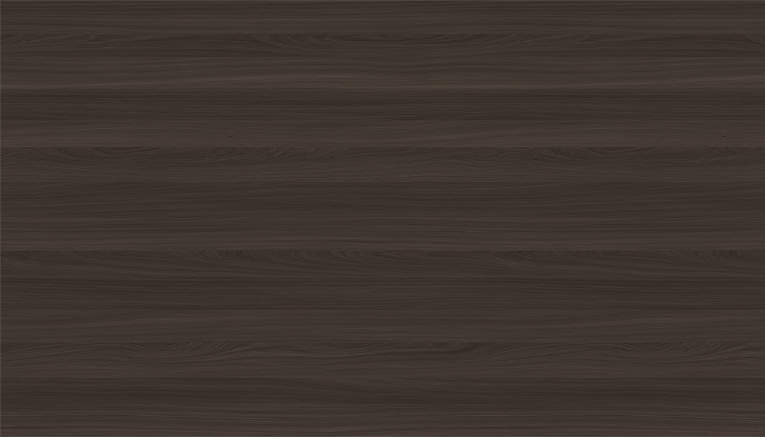 WS1005-4DK