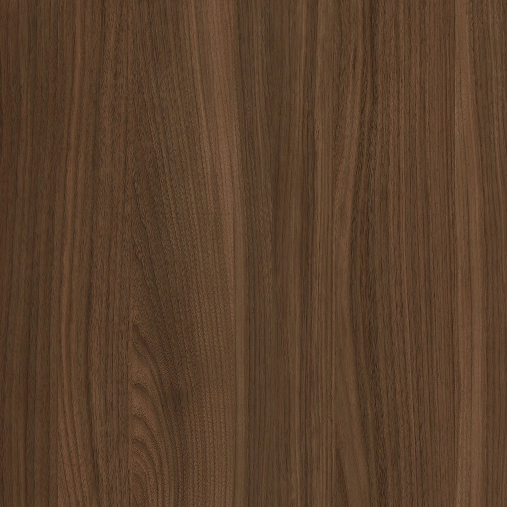 WS1006-1DK