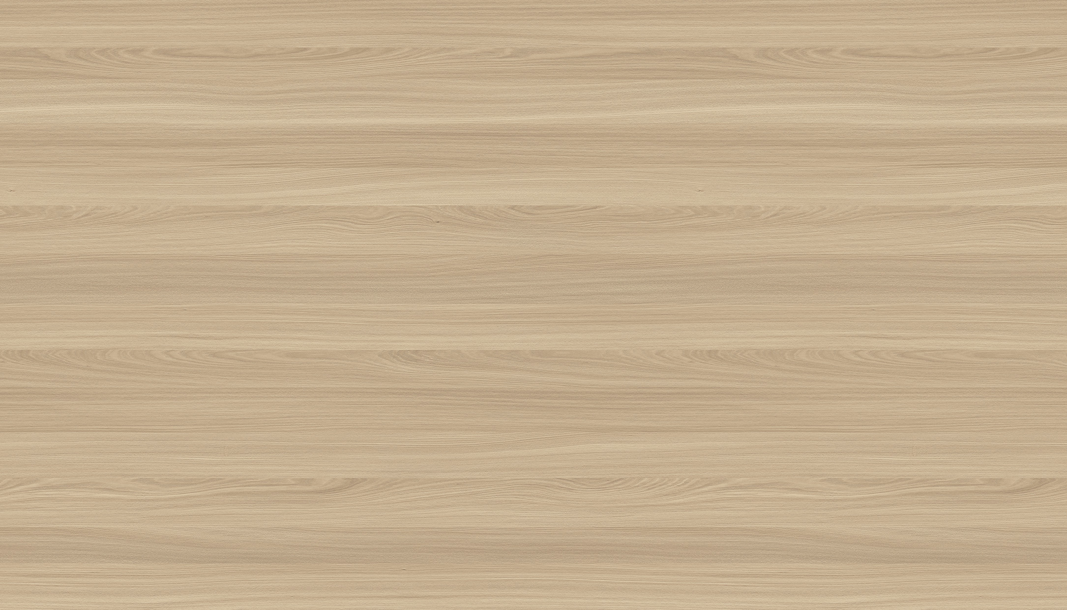 WS1005-3DK