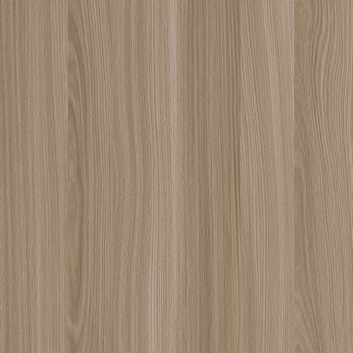WS1005-2DK