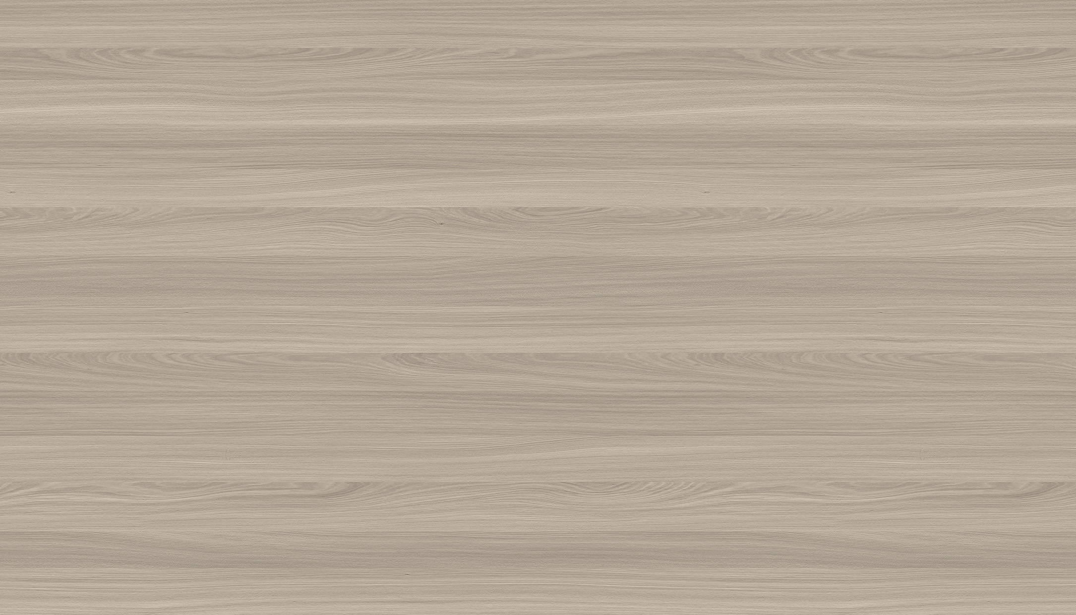 WS1005-1DK